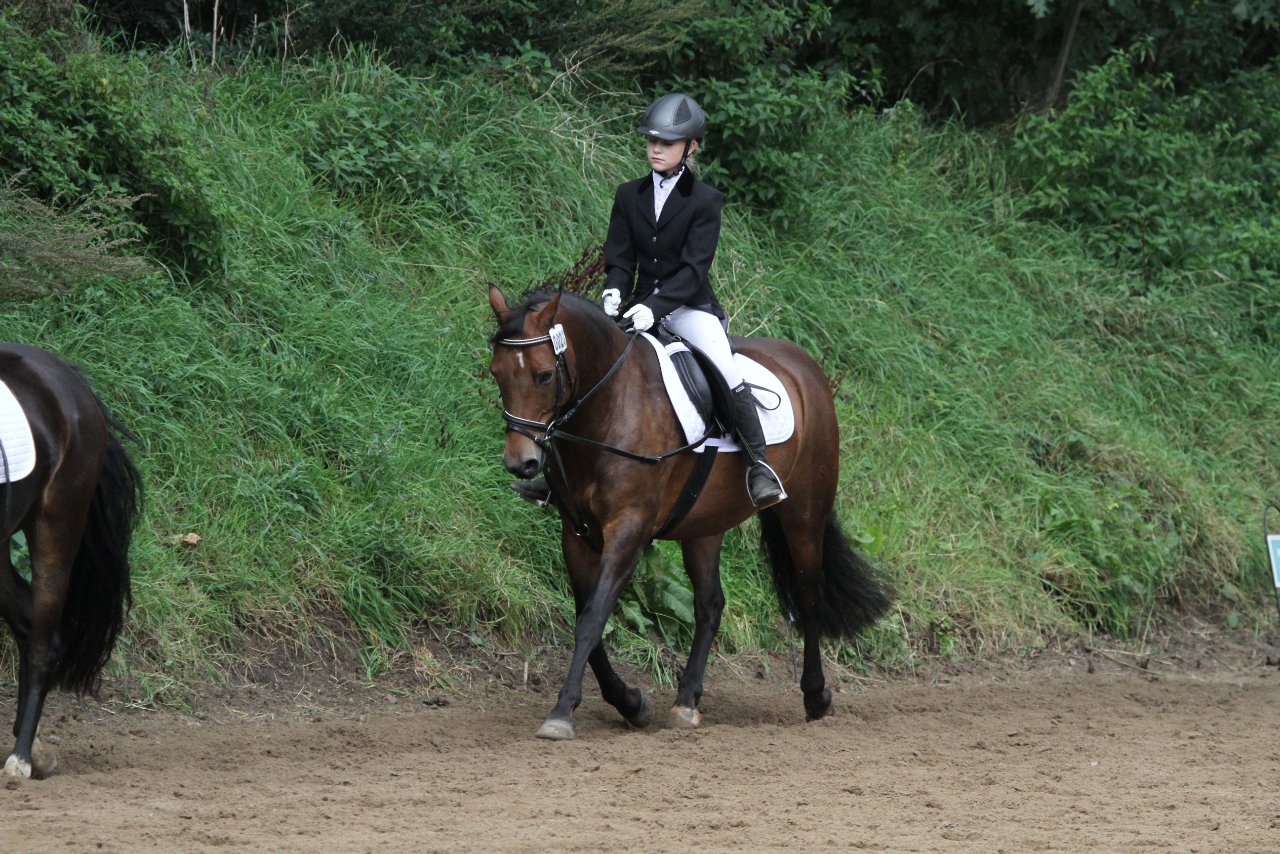 Bild 1157 - WBO-Turnier am 18.9.11
